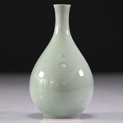 China celadon vase decorated with flowers Qing period