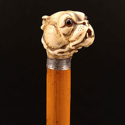 法国 - 斗牛犬头式圆头象牙手杖 19世纪