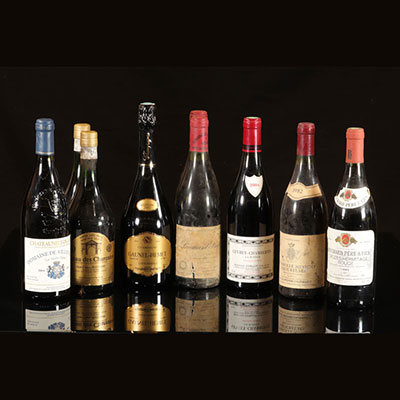 Vin - lot de 11 bouteilles 75 cl (vin rouge) 7 x Cotes du Rhone - 2 x Pommard - 1 x Gevrey Chambertin - 1 x Crozes Hermitage