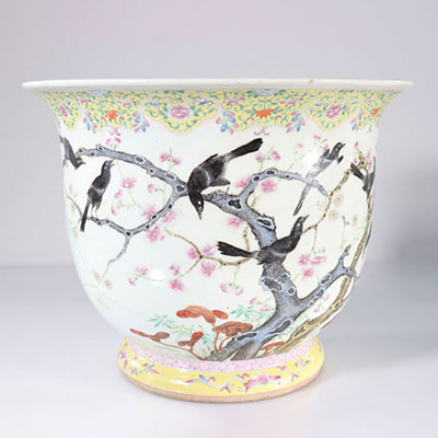Chine imposant vase Minguo à décor d'oiseaux (pies)
