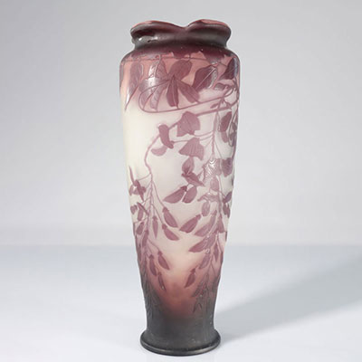 Emile Gallé imposing vase with wisteria