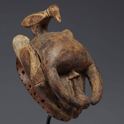 Ibo Nigeria mask in carved wood surmounted by a bird