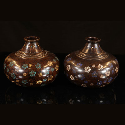 Japon -  grande paire de vase en bronze à décor de fleurs 19ème