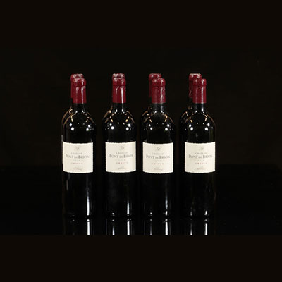Vin - 8 bouteilles 75 cl Rouge Graves Château Pont de Brion  1999