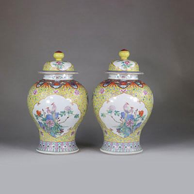 Chine paire de potiches couvertes en porcelaine de chine famille rose époque Qing
