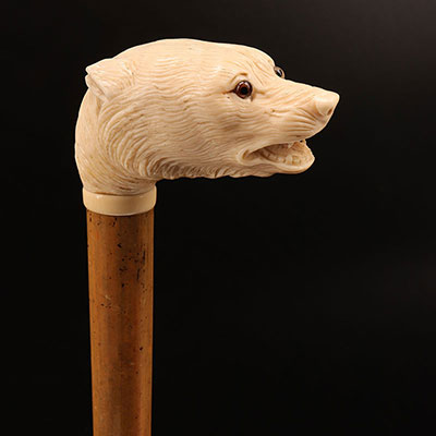 France - Canne pommeau en ivoire finement  sculpté d'une tête d'ours 19ème