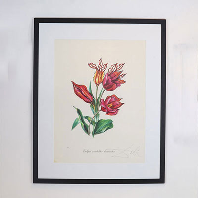 Salvador Dali - « Tulipa Crudeliter Baliantes » - Lithographie gaufrée - 1972, Lithographie originale sur papier Arches épais. Signée à la main par Dali au crayo