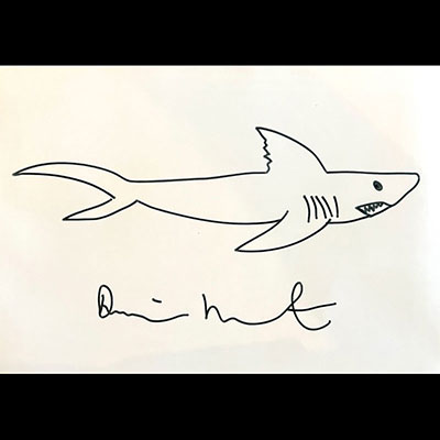 Damien Hirst. Shark. Black marker drawing of a shark on paper. Signed 