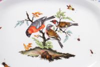 Meissen large porcelain dinner plate decorated with birds on a white background