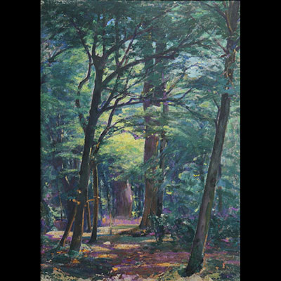 Alfred SMITH (1853/54-c.1932), HST, Undergrowth