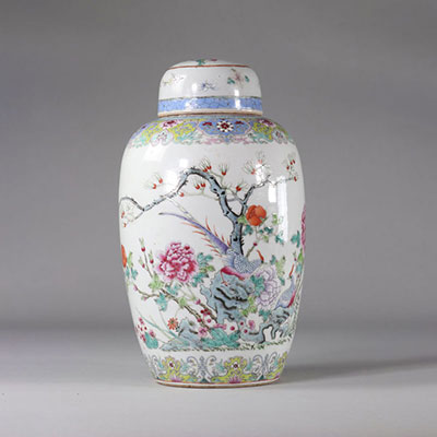 Chine vase en porcelaine famille rose à décor d'oiseaux et fleurs époque Qing