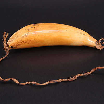 OCEANIA - Pendant - TABUA - sperm whale tooth
