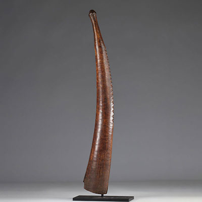 Olifant- Call horn decorated with notches representing frontal scarifications- Ngbaka - early 20th century - DRC - Africa