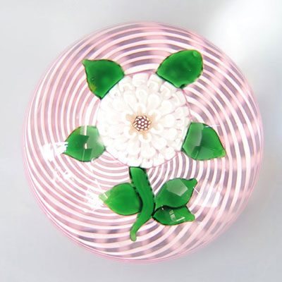 John Deacons paperweight 2001- white chamomile on pink spiral