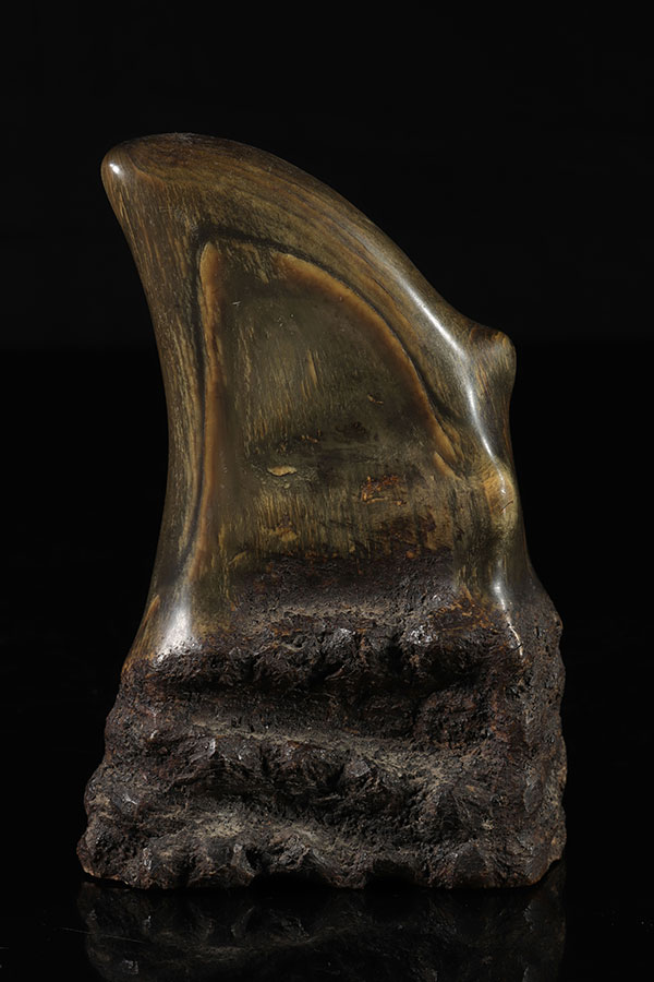 Corne sculptée. INDE, Asie XIXe siècle. 