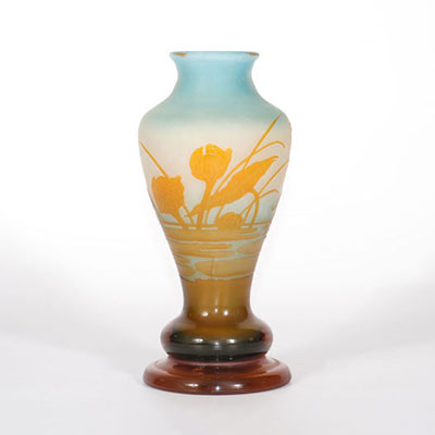 Emile Gallé vase with aquatic decoration