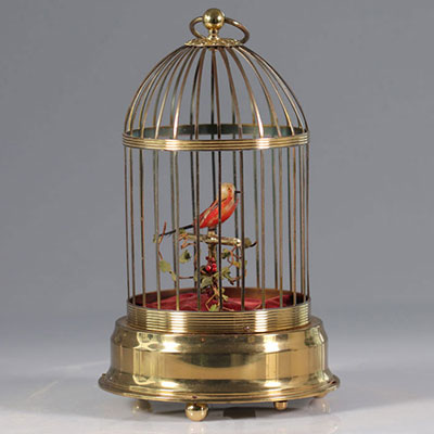 Cage oiseau chanteur