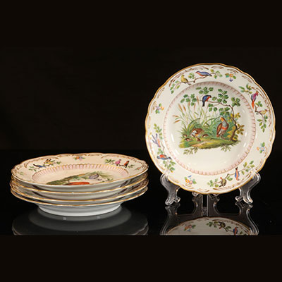 Porcelaine de Meissen lot 5 assiettes à décor d'oiseaux marque aux épées croisées
