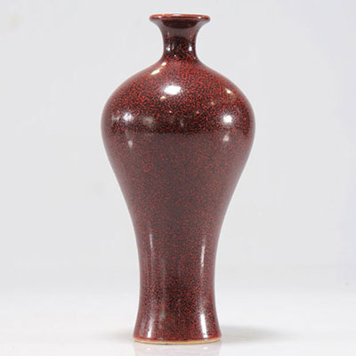 Chinese porcelain vase brand kangxi