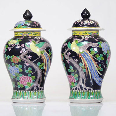 Pair of black family vases decorated with birds