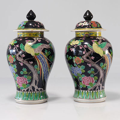 Pair of famille noire covered vases decorated with birds