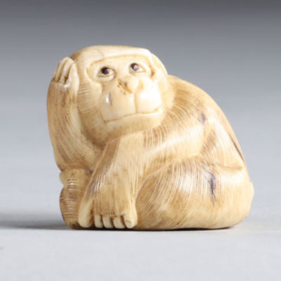 Netsuke sculpté d'un singe pensif. Japon époque Meiji vers 1900