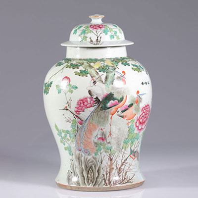 China - Chinese porcelain vase - early 20th century