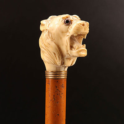 France -  19th century ivory pommel Cane lion head 