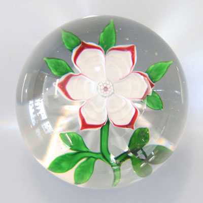 Baccarat paperweight decorated with a 19th century red border primrose
