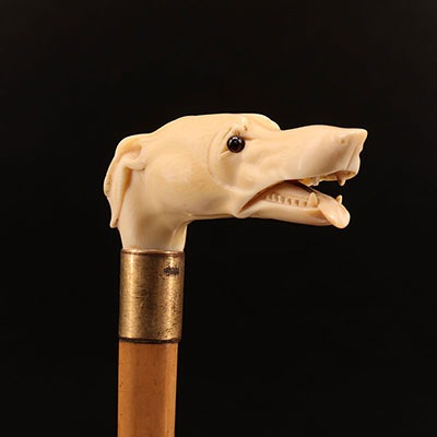 法国 - 灰色狗头式圆头象牙手杖 19世纪 