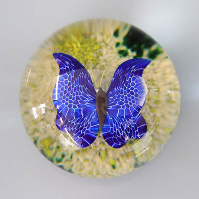 Baccarat paperweight 1978- 23/125, with canes and butterfly on a rocky background
