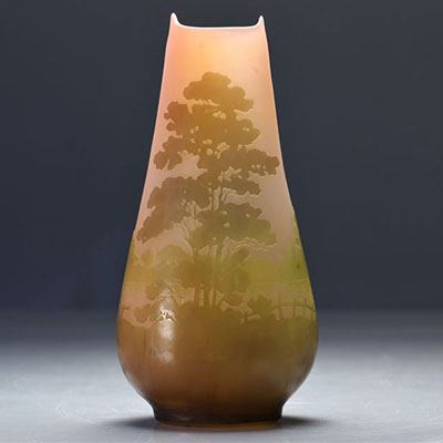 Imposing Gallé Emile vase decorated with lakescapes
