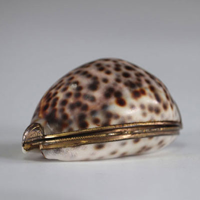 Shell snuffbox mounted in box