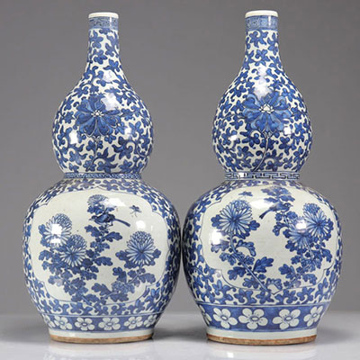 Paire de vases double-gourdes en porcelaine émaillée bleu-blanc à décor en médaillons floriformes d'oiseaux XIXème
