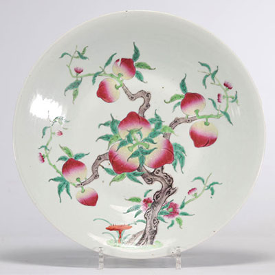 Famille Rose porcelain dish decorated with nine peaches