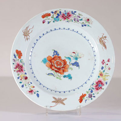 18th century famille rose plate decorated with flowers and insects
