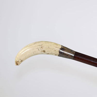 Captain's cane surmounted by a sperm whale tooth mounted on silver England 19th