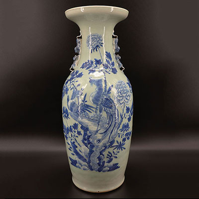 Chine - Grand vase céladon décor de phénix en relièf