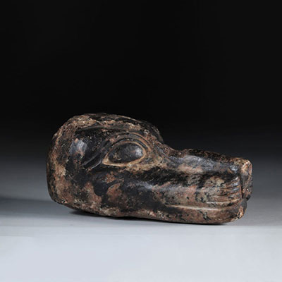 Curiosity ancient stone dog head