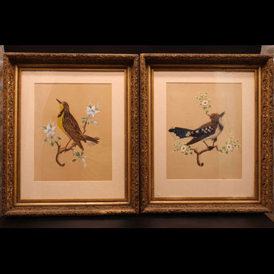 Paire de tableaux à décor d'oiseaux réalisation en plumes