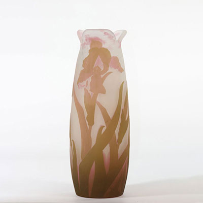 Emile Gallé clear vase with acid decorated with Iris