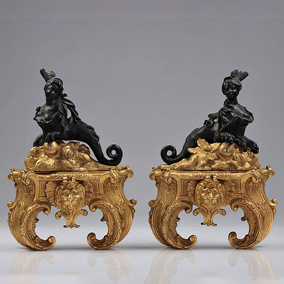 Pair of bronze andirons with two patinas 18th