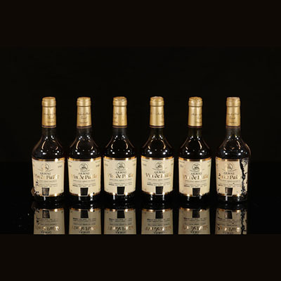Wine - 9 bottles 37.5 cl Bl syrupy Arbois Arbois straw wine 1989 André and Mireille Tissot