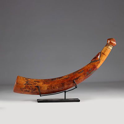 Imposing and massive call horn - Patina of deep use - Africa DRC - early 20th century
