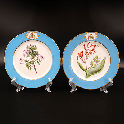 France - Pair of Paris Porcelain botanical plates