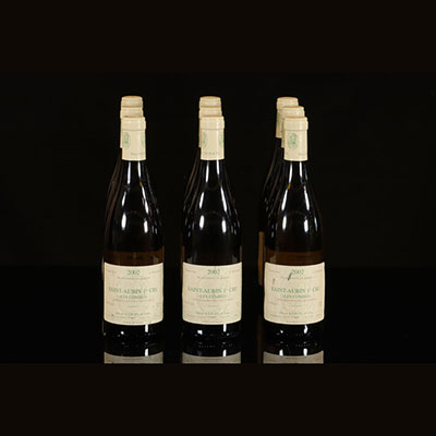 Vin - 9 bouteilles 75 cl Blanc Saint Aubin St Aubin 