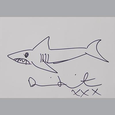 Damien HIRST (GB, 1965)Shark Drawing