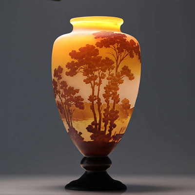 Emile Gallé imposant vase à décor lacustre