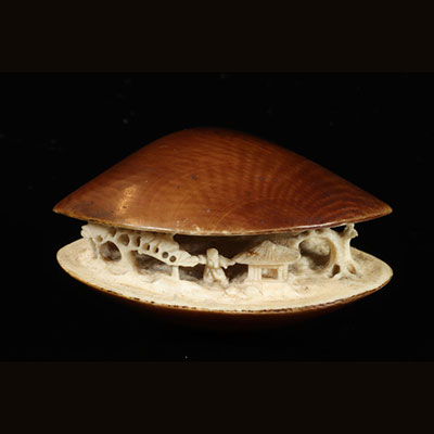 日本19世纪内部雕刻精美的贝壳