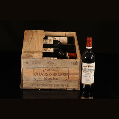 Vin - 12 bouteilles 75 cl Rouge Moulis Château Chasse-Spleen cru exceptionnel 1995 S.A Château Chasse-Spleen